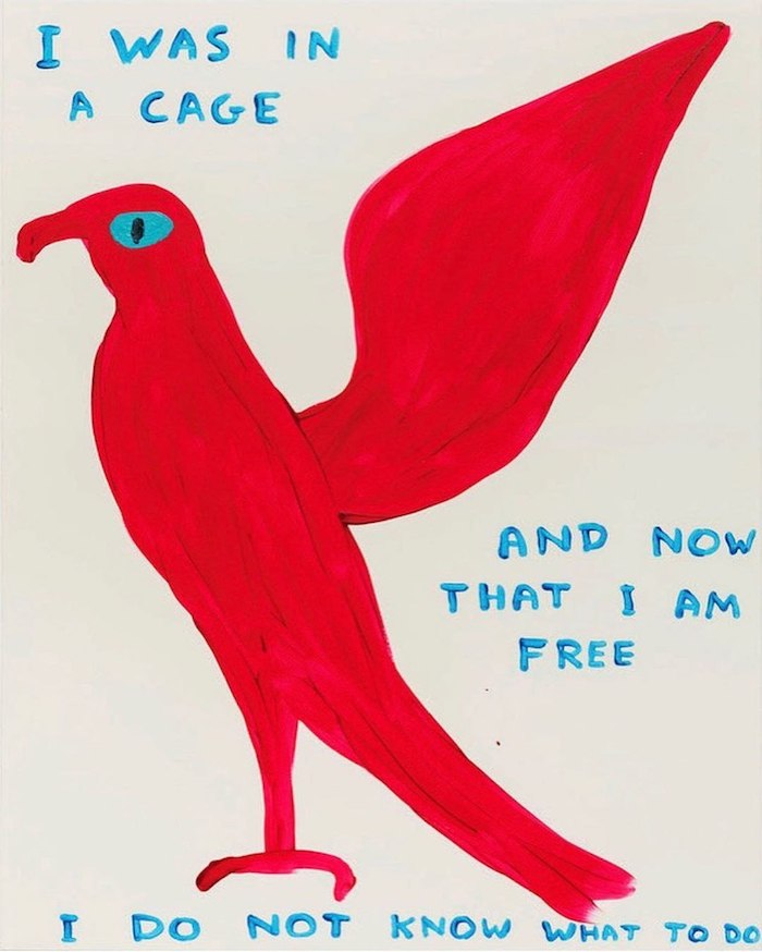 davidshrigley